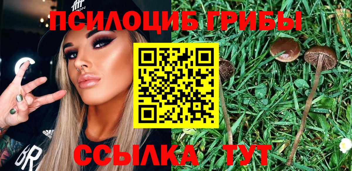 Псилоцибиновые грибы прущие грибы  Вход с VPN  Киров  Галлюциногенные грибы MAGIC MUSHROOMS 